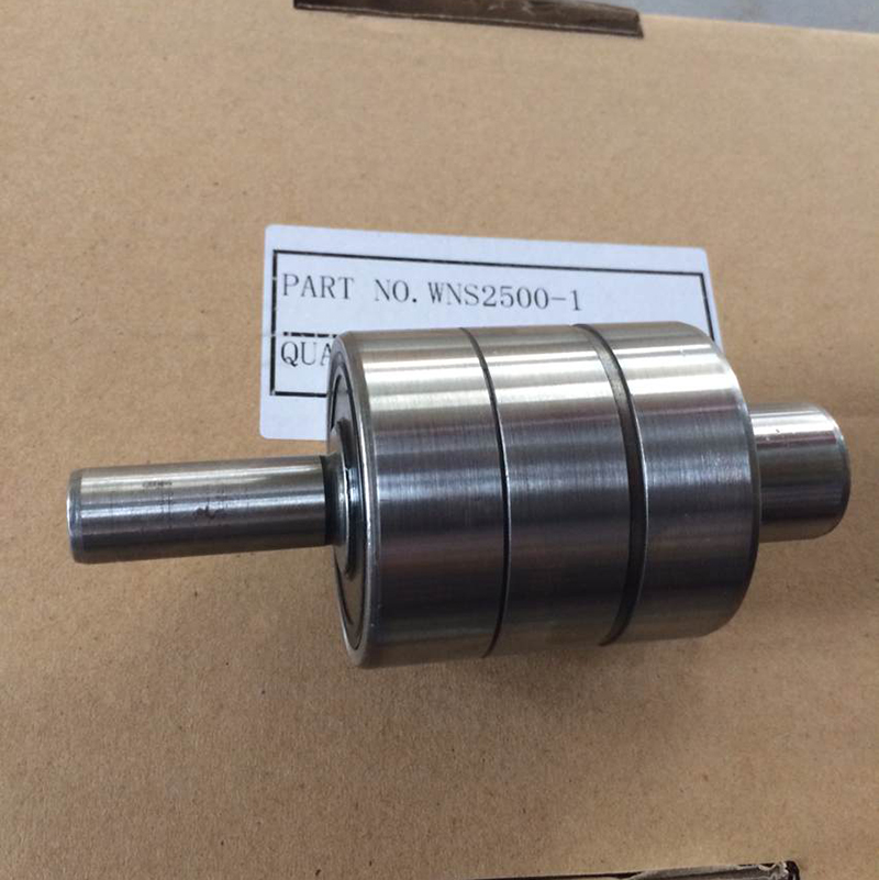 WNS2500 bearings 